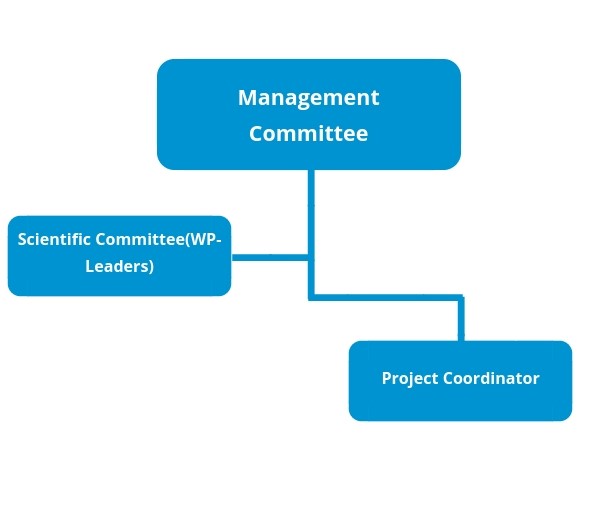 pm_structure